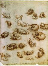 Haga click para ver la imagen ampliada sketches - study of cat movements and positions.jpg